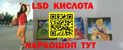 МДПВ Новозыбков