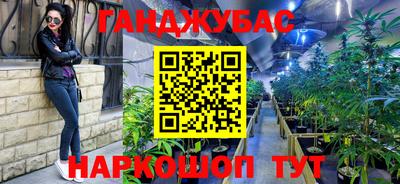 амф Новодвинск