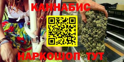 МДПВ Новозыбков